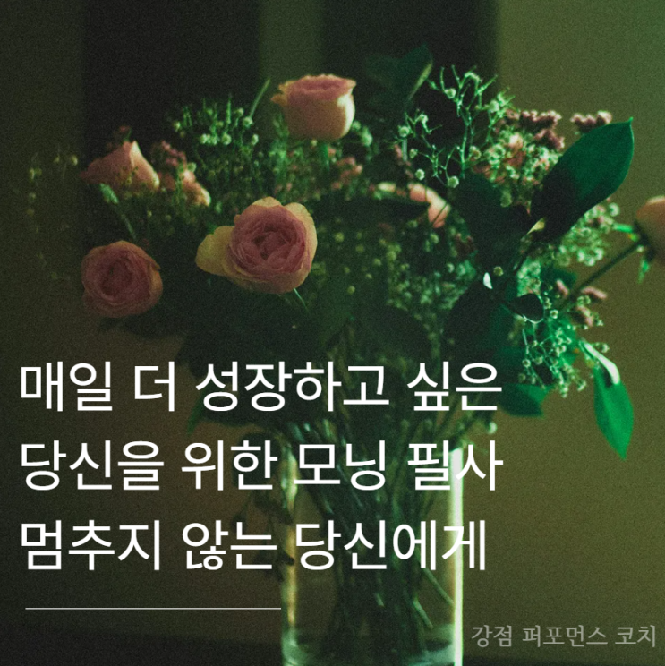 매일 더 성장하고 싶은 당신을 위한 모닝 필사_멈추지 않는 당신에게