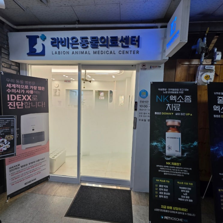  안산 고잔동동물병원 추천 라비온동물의료센터 강아지건강검진 후기