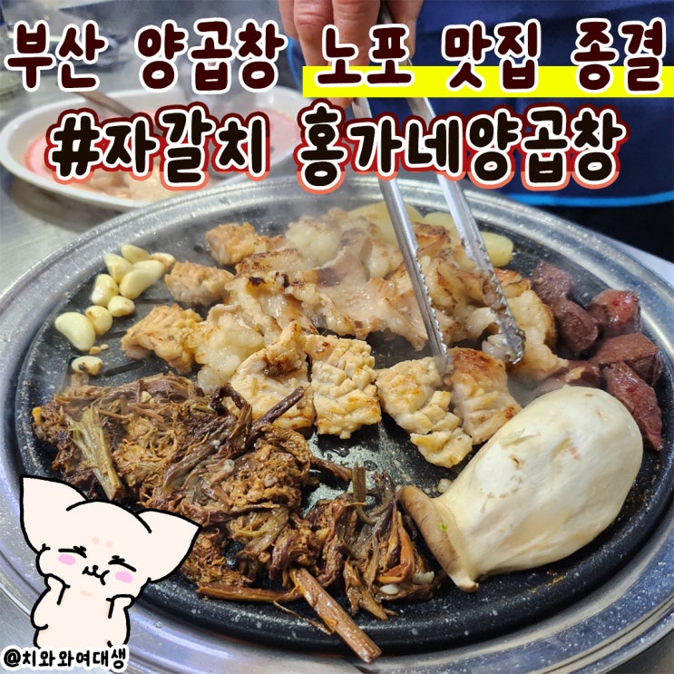  남포동 양곱창 자갈치양곱창맛집 홍가네양곱창 유명한 로컬노포