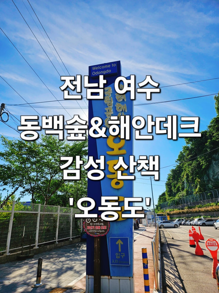  전남 여수 오션뷰 트레킹과 동백 숲 힐링 '오동도'