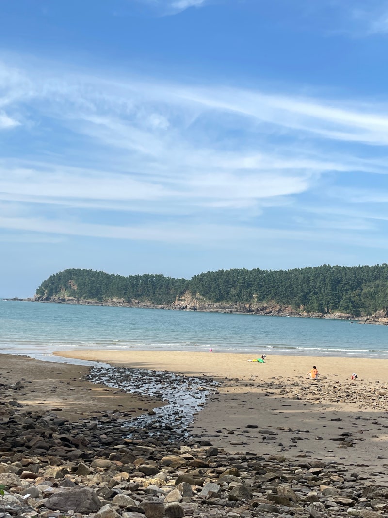 사진 9