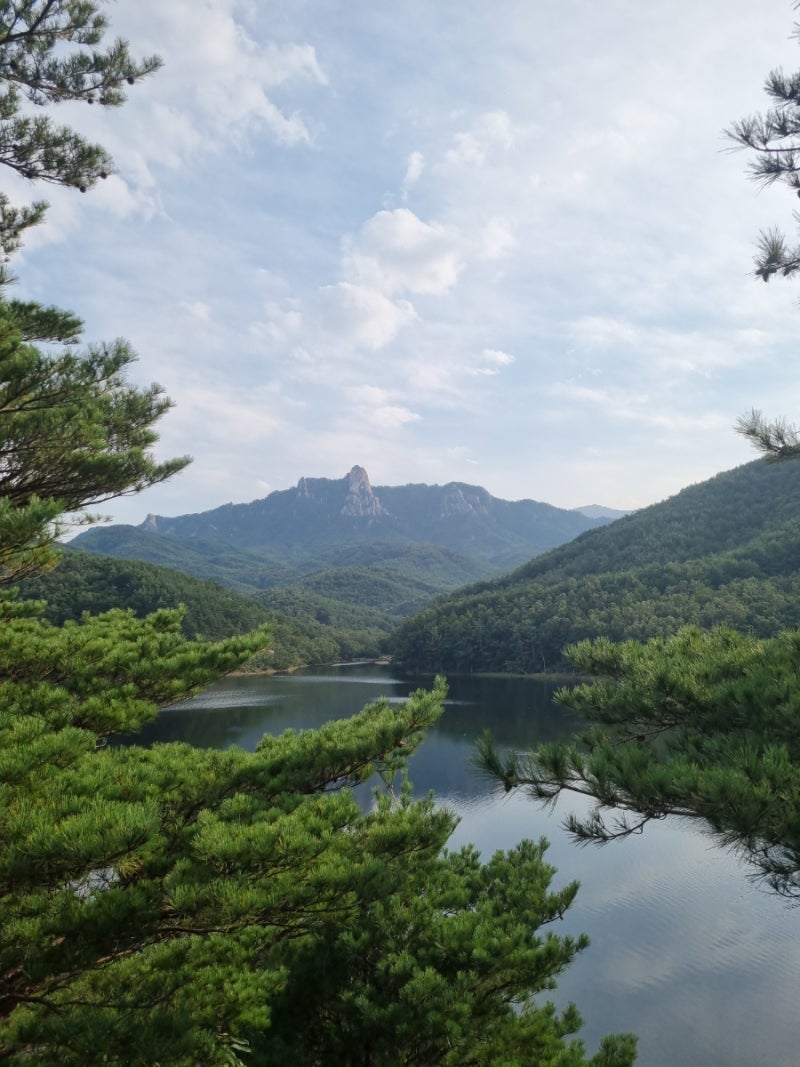 사진 3