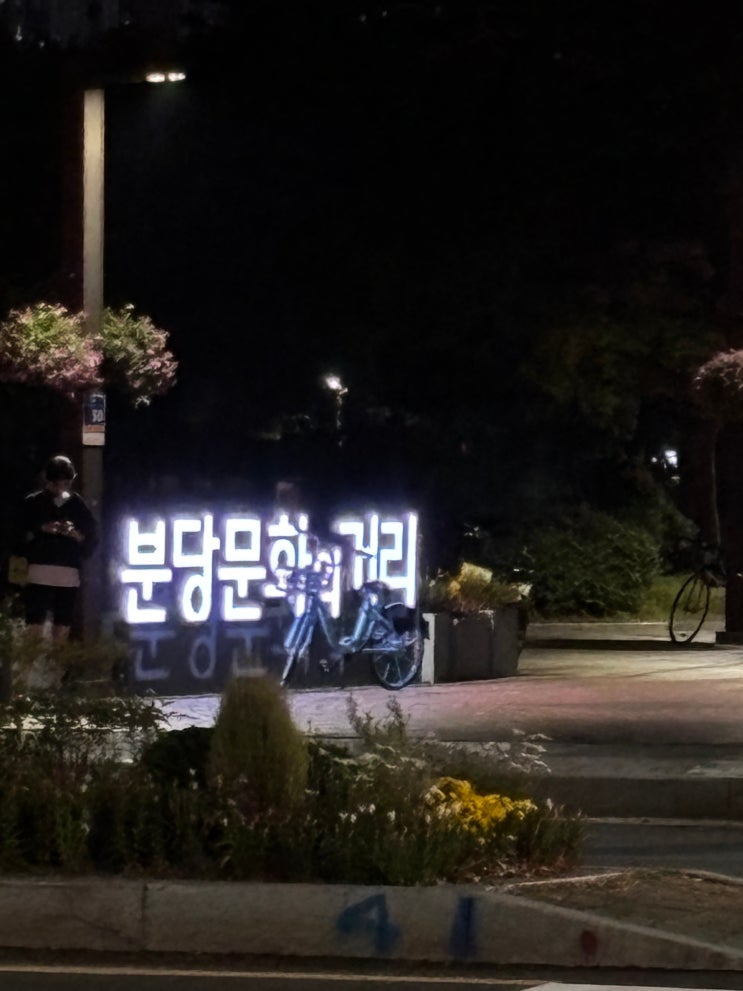  성남 산책 서현역 출발 분당중앙공원에서 분당 저수지, 율동 공원까지 (2시간)