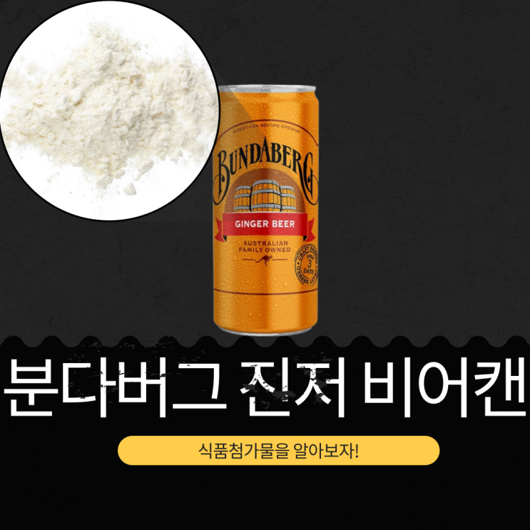  코스트코 무알콜 탄산음료 [분다버그 진저비어] 호주산 건강음료 식품첨가물 영양성분