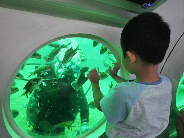  제주도 성산포항 초입에 위치한 그리운바다성산포