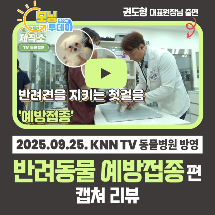  권도형 대표원장 KNN TV동물병원 출연 반려견을 지키는 첫걸음 예방접종 캡쳐 리뷰 닥터펫