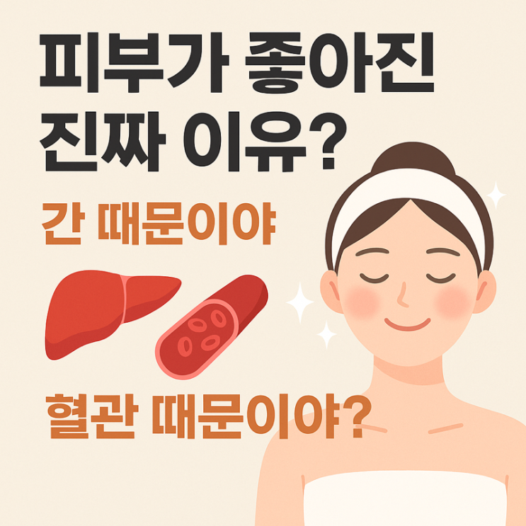   피부가 좋아진 진짜 이유? 간 때문이야, 혈관 때문이야?