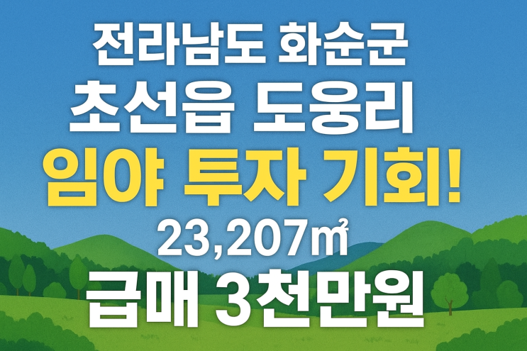  전라남도 화순군 화순읍 도웅리 임야 투자 기회!  23,207 3천만원(급매)