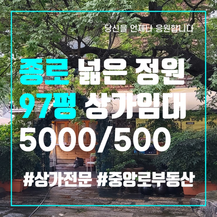  대구 중구 종로 넓은 정원 2층 단독 건물 상가 임대, 동성로 상가 전문 [중앙로부동산]