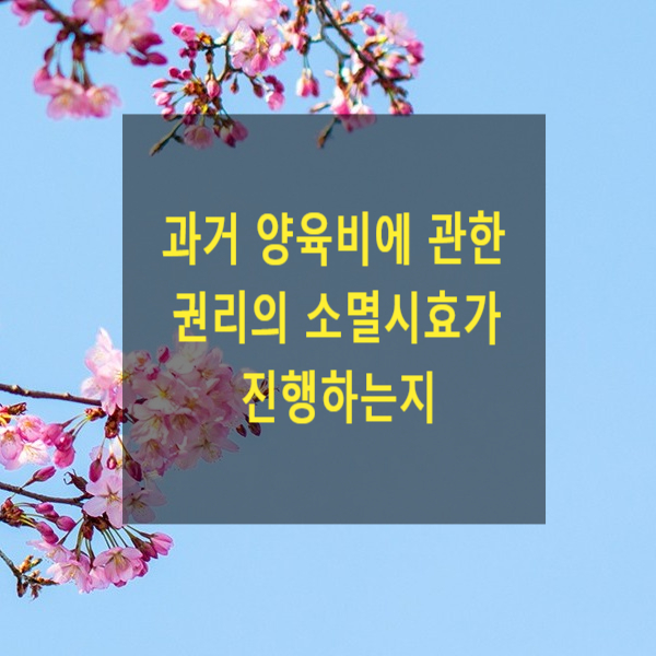  과거 양육비에 관한 권리의 소멸시효가 진행하는지 여부 및 그 기산점(대법원 2024. 7. 18.자 2018스724 전원합의체 결정)