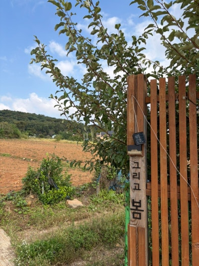 사진 2
