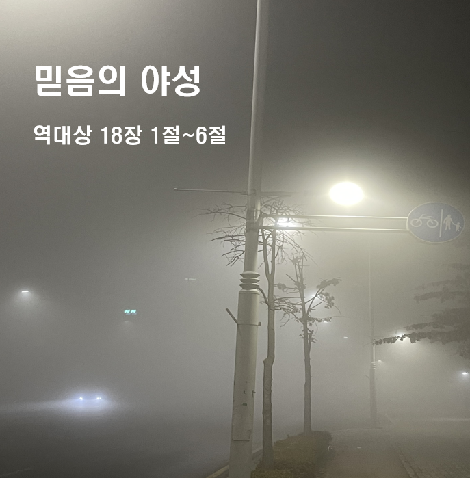  믿음의 야성 역대상 18장 1절~6절