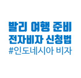 발리 여행 준비 : 발리 여행 비자 온라인 발급 방법