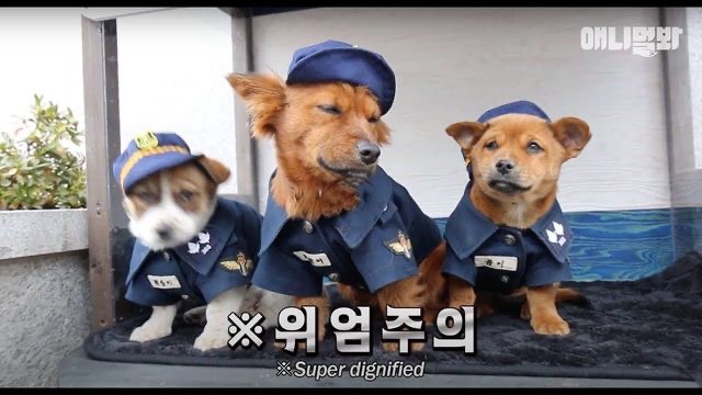  울산 경찰 데이트 폭력 목격자 신고자 체포