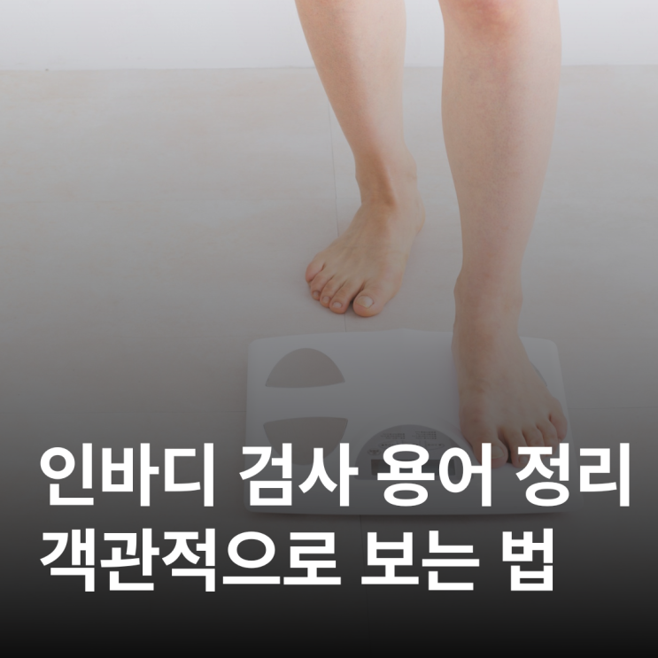  인바디 검사 결과 해석, 이 글로 끝내세요