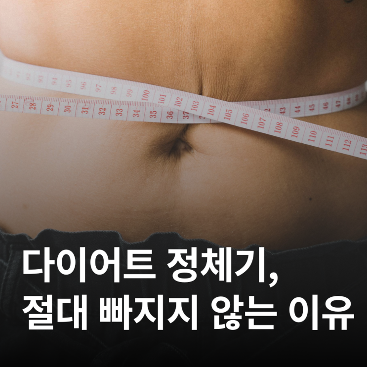  다이어트 정체기 살 안 빠지는 이유는 식단이 아니라 00 때문