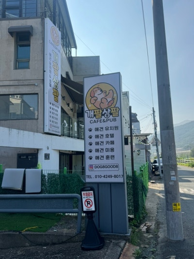 사진 3