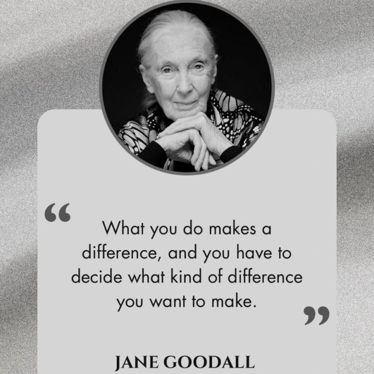 환경운동가 침팬지의 어머니 <b>제인 구달 별세</b> Jane Goodall