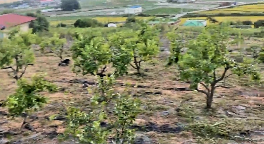 지령산 사진 6