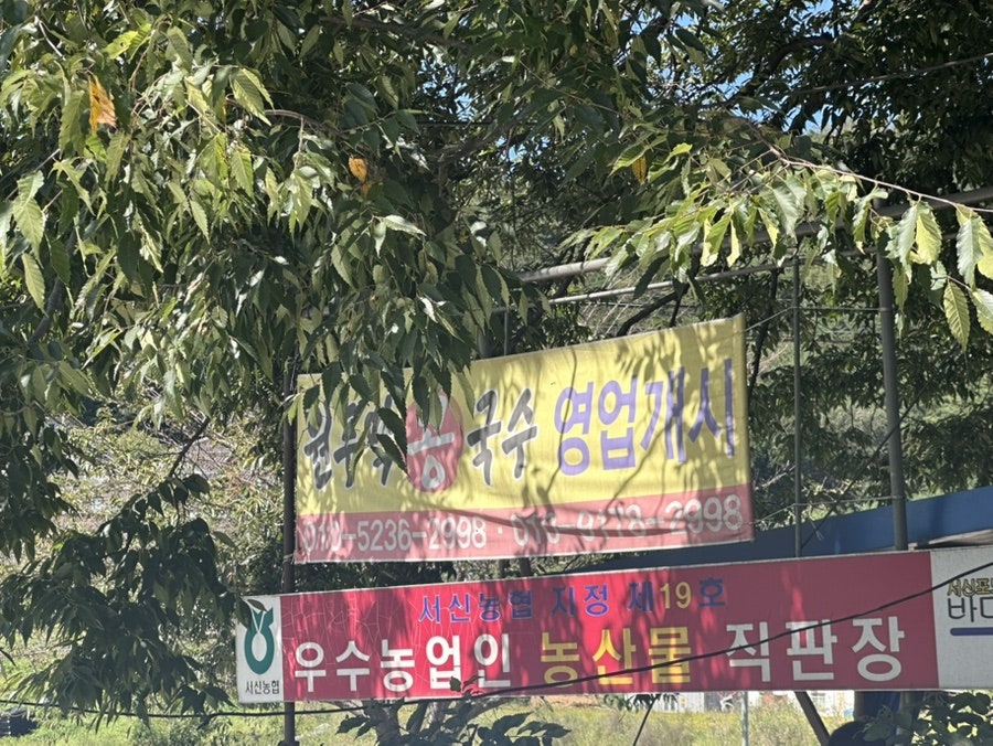 원두막콩국수 사진 1
