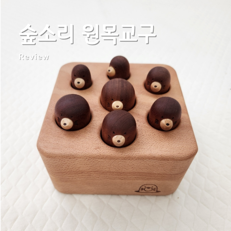 [6개월, 7개월, 8개월 아기 장난감 추천 ] 원목교구 숲소리 두더지 가족찾기, 도형자동차