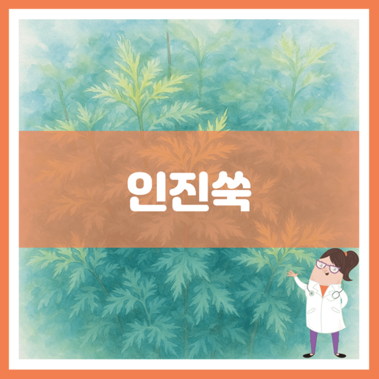  인진쑥 효능 부작용 먹는 방법
