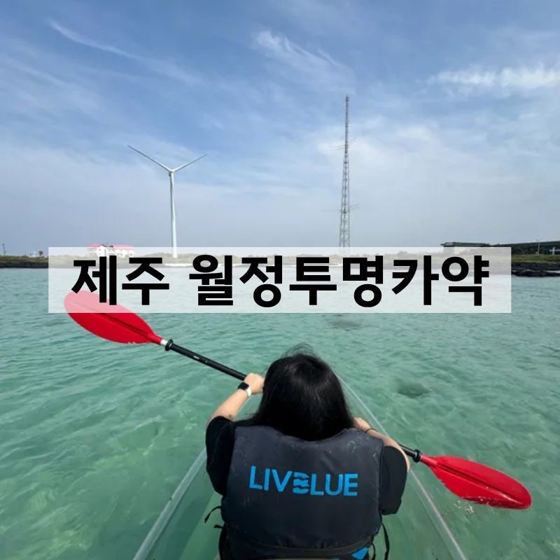 사진 4