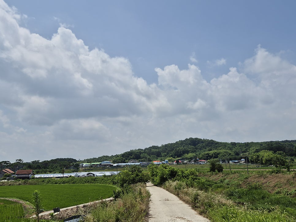 도랑골 사진 6