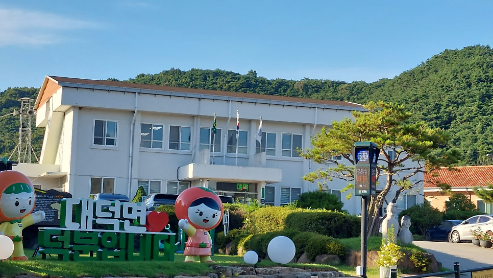 밀꽃 사진 3