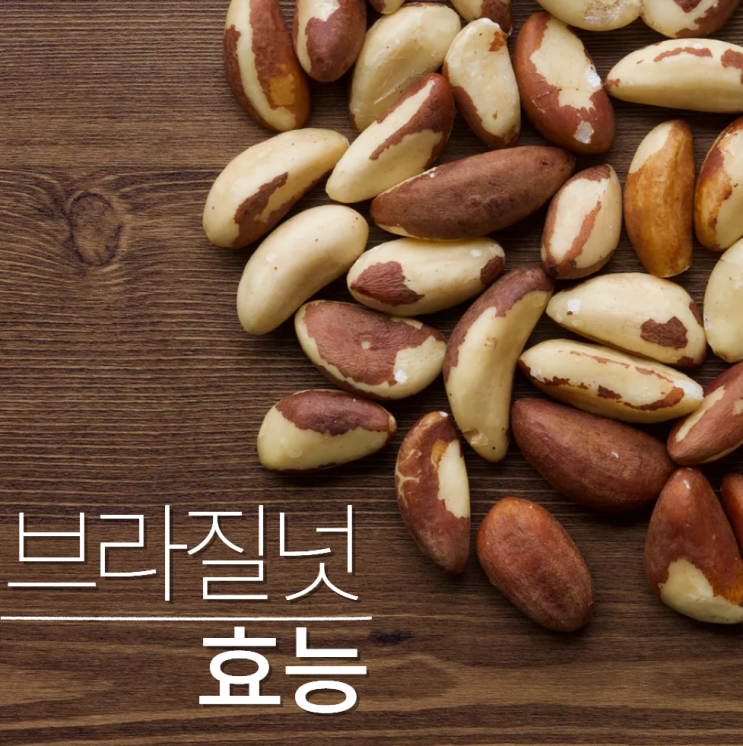  브라질넛효능 부작용 브라질너트먹는법