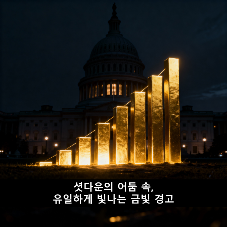 7년 만의 <b>미국 셧다운</b>! 금값... (ft. 트럼프 <b>공무원 해고</b>)