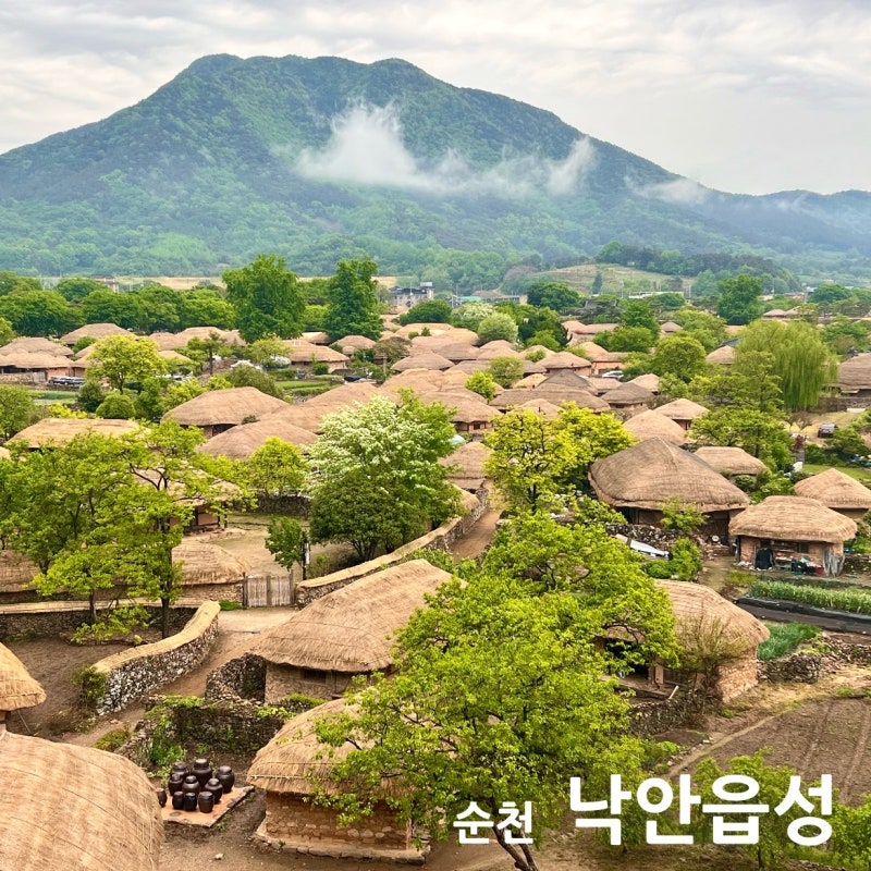 순천 낙안읍성 민속마을 체험 주차 민박 식당 가을 축제 정보& 아이와 여행 후기