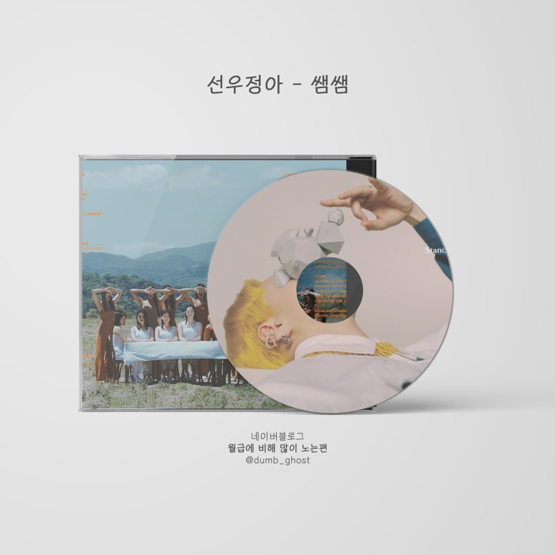 쌤쌤 - 선우정아 [가사]