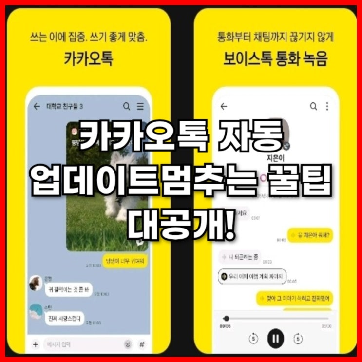  카카오톡 자동 업데이트 비활성화 멈추는 꿀팁 대공개!