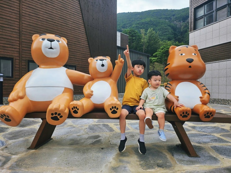  영천 보현산자연휴양림 체험 | 어린이놀이방·VR·목재체험 후기