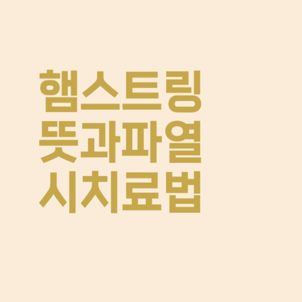  햄스트링 뜻과 통증 파열 시 치료는 이렇게!
