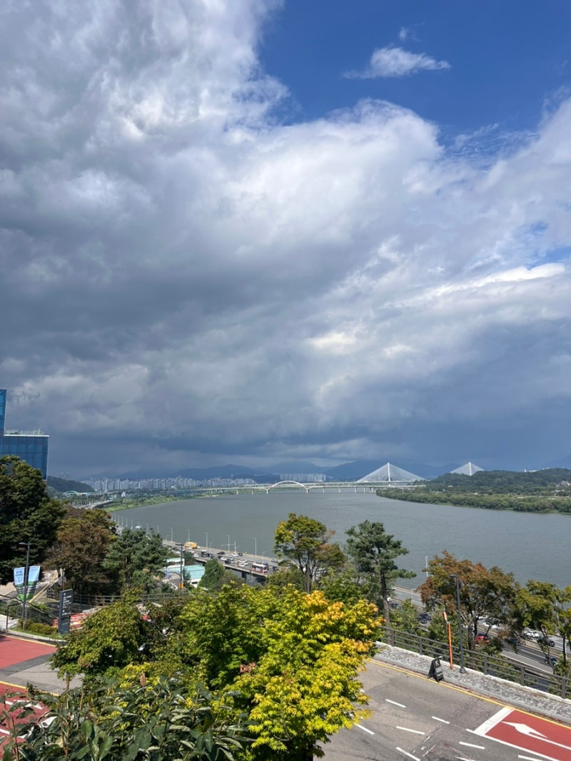 사진 7