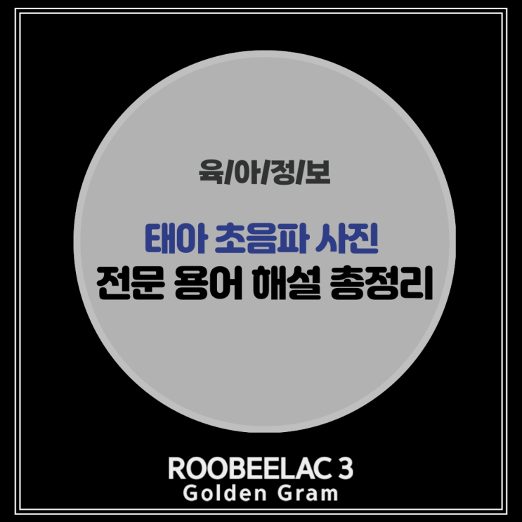  아기 태아 초음파 사진 보는 방법, 전문 용어 풀이 해설 by. 덴마크 슈퍼 프리미엄 분유 루비락 3
