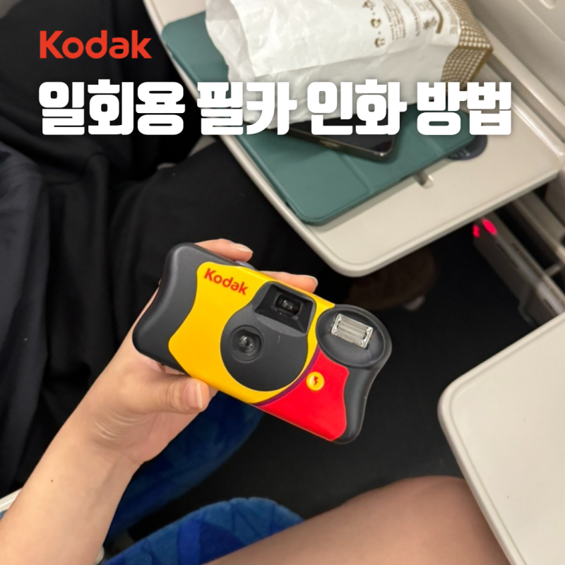 [코닥 일회용 필카 인화]여행가서 필름카메라 찍고 싸게 인화하는 방법