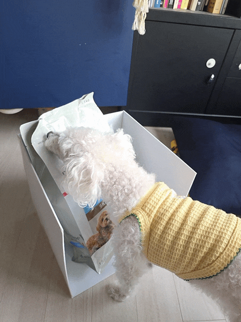  레시피브이로얄 더마컴포트 강아지 사료 급여 후기