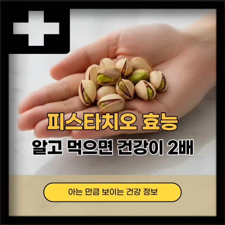 세계10대슈퍼푸드 견과류 피스타치오 효능