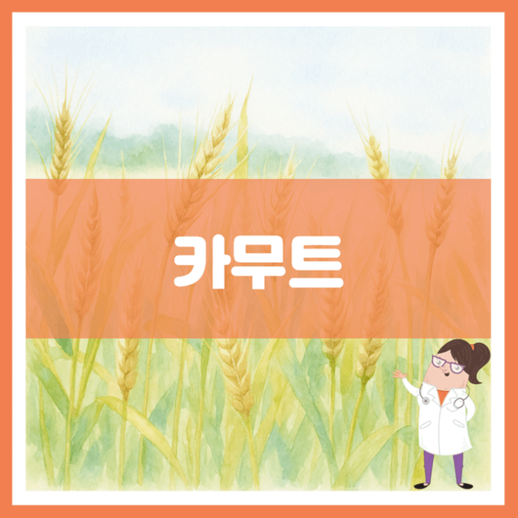 카무트 효능 영양성분 보관방법