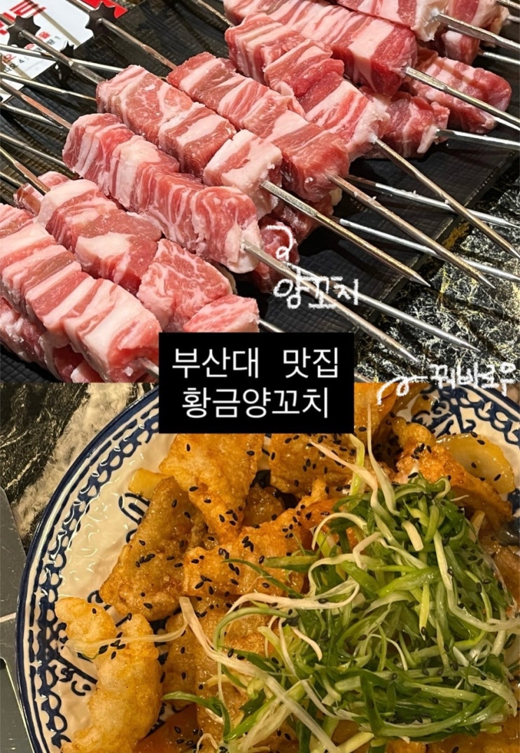  장전동 맛집 황금양꼬치 | 부산대 야장 맛집