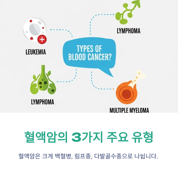  혈액암 종류 3가지, 백혈병 림프종 다발골수종은 완전히 다른 병입니다