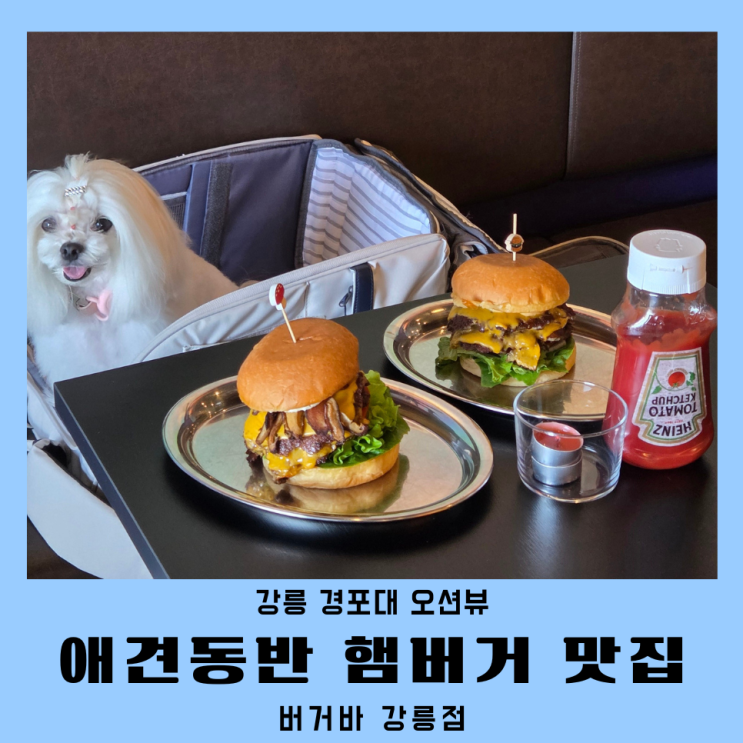  강릉햄버거 애견동반 오션뷰 실내데이트 버거바