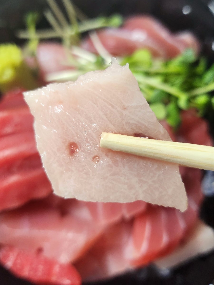 참치요시 사진 6