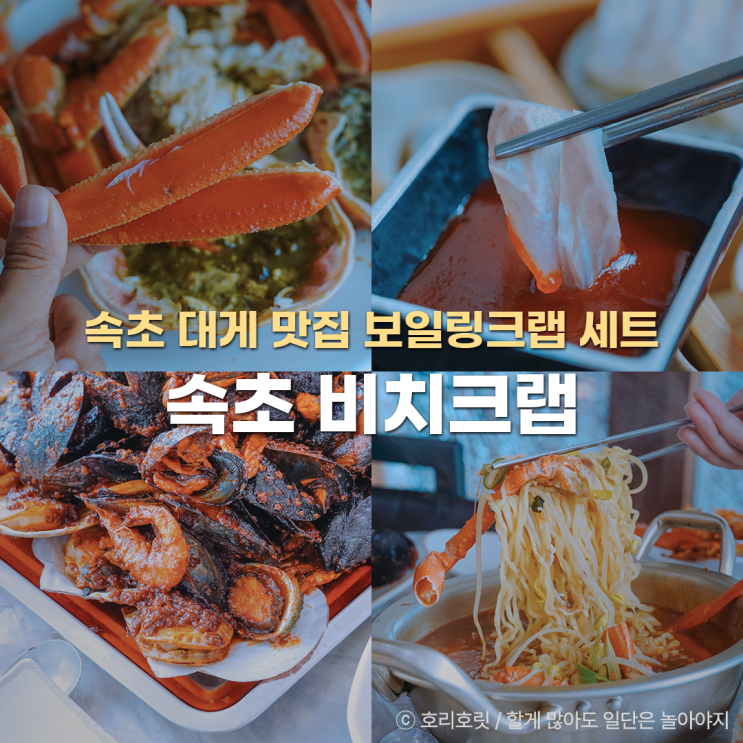  속초 대게 맛집 비치크랩 보일링크랩 세트
