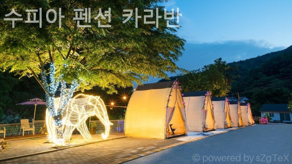 수피아호스텔 사진 3