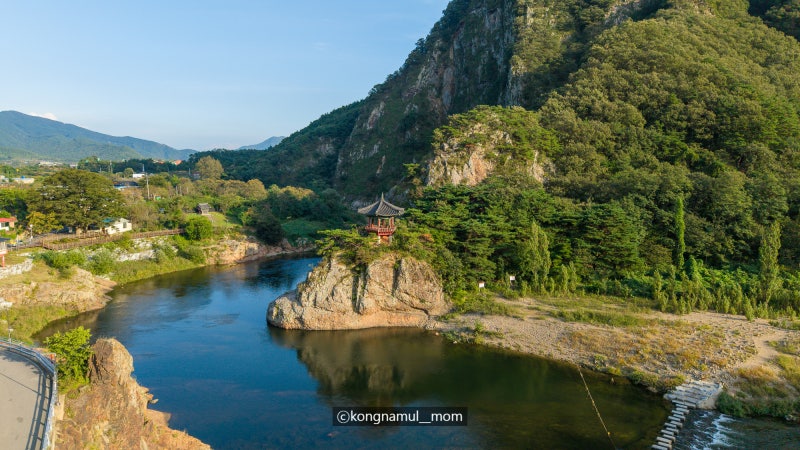 사진 10