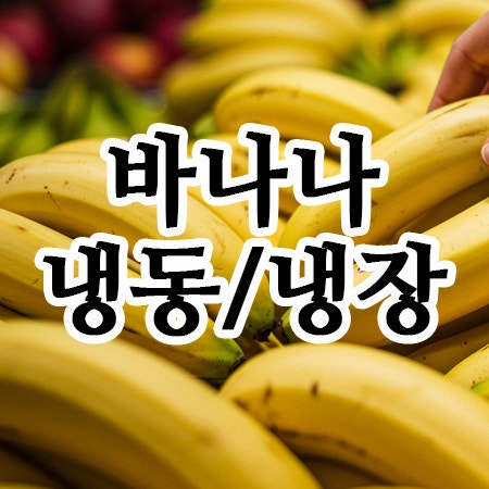  바나나 보관방법! 냉장고·냉동·실온까지 총정리